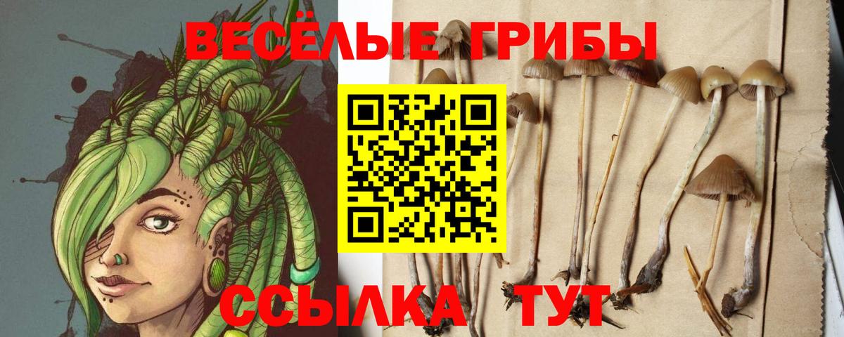 Псилоцибиновые грибы Cubensis  Псилоцибиновые грибы ЛСД  Тайшет  Вход с VPN 